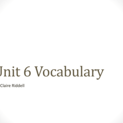 Unit 9 level c vocab answers