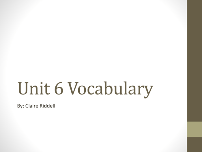 Unit 9 level c vocab answers