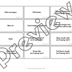 Vb mapp fine motor imitation list