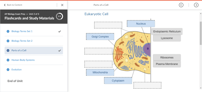 Ap biology unit 2 test multiple choice pdf