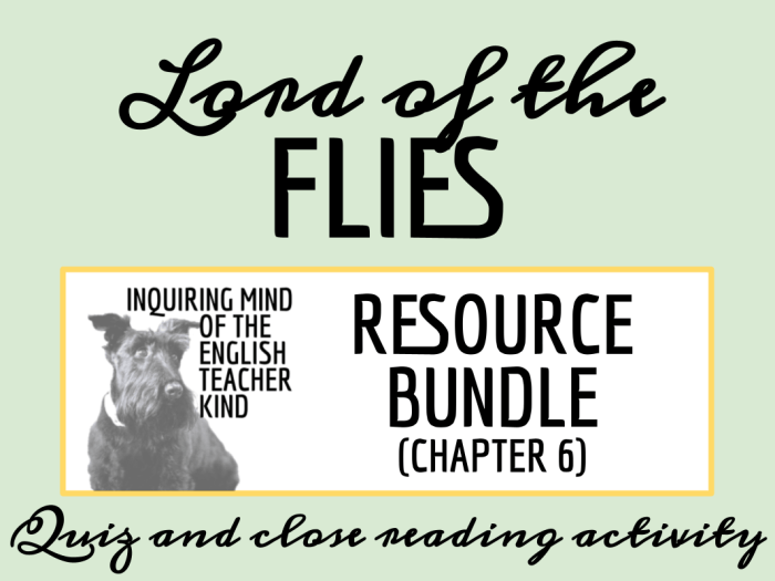 Lord of the flies chapter 6 quiz