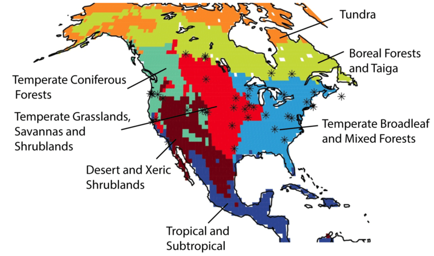 Ecoregions america north terrestrial usa maps map canada svg geography file mex clipartbest clipart vivid vividmaps south choose board wikimedia