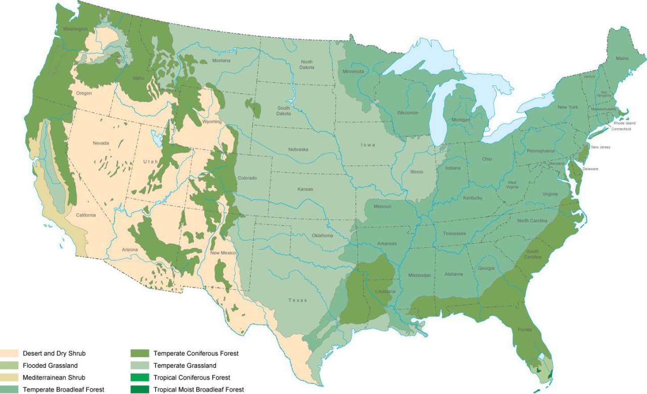 Biomes forests 2445 maps mapporn