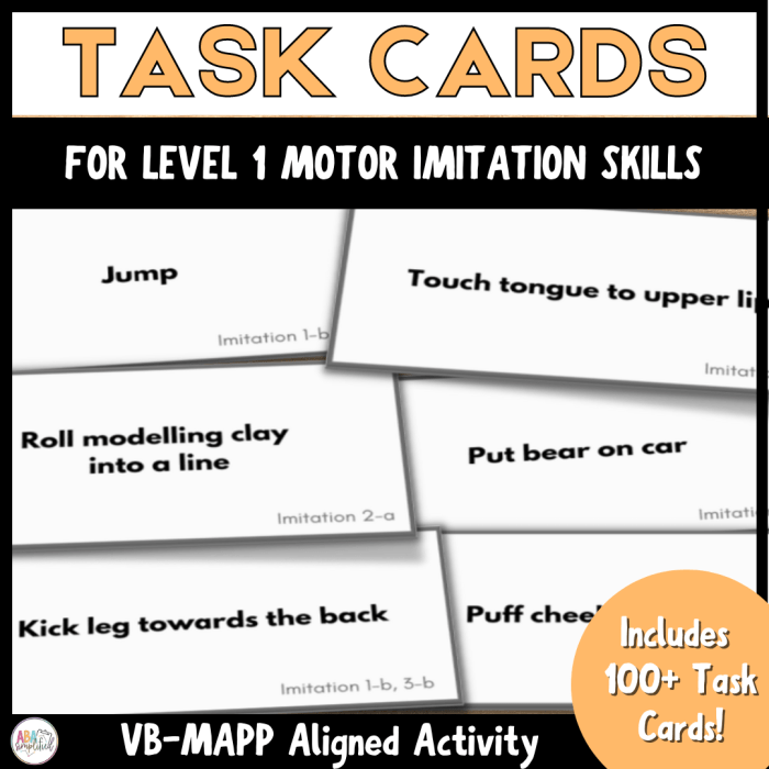 Vb mapp fine motor imitation list