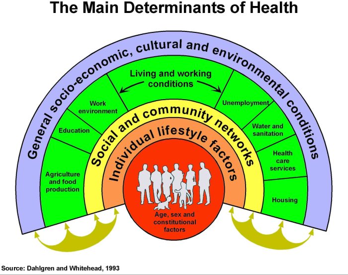 Picture of health crossword clue