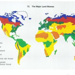 Biome map of north america