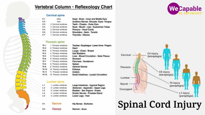 Spinal cord injury hesi case study