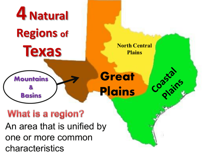 Natural resources in the mountains and basins region of texas