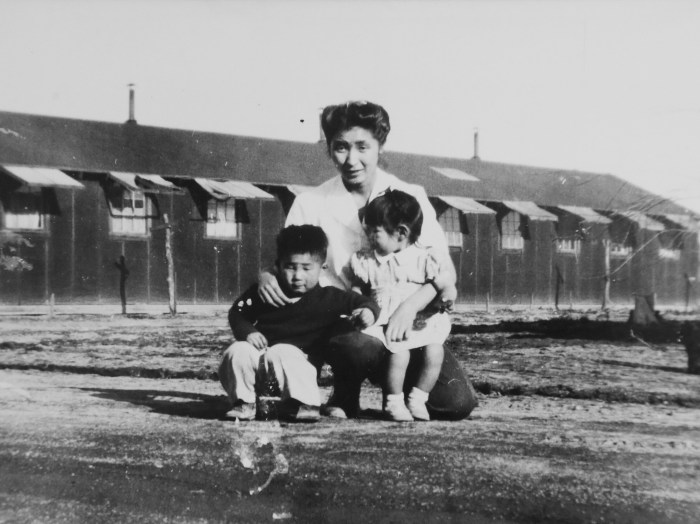 Differences between the holocaust and japanese internment camps