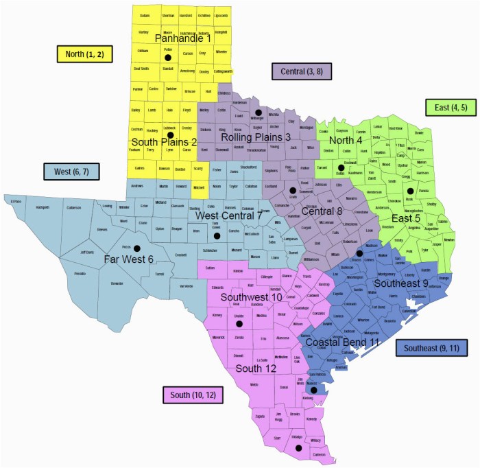 Natural resources in the mountains and basins region of texas