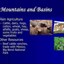 Basins mountains mountain texas region regions major cities interest points sub